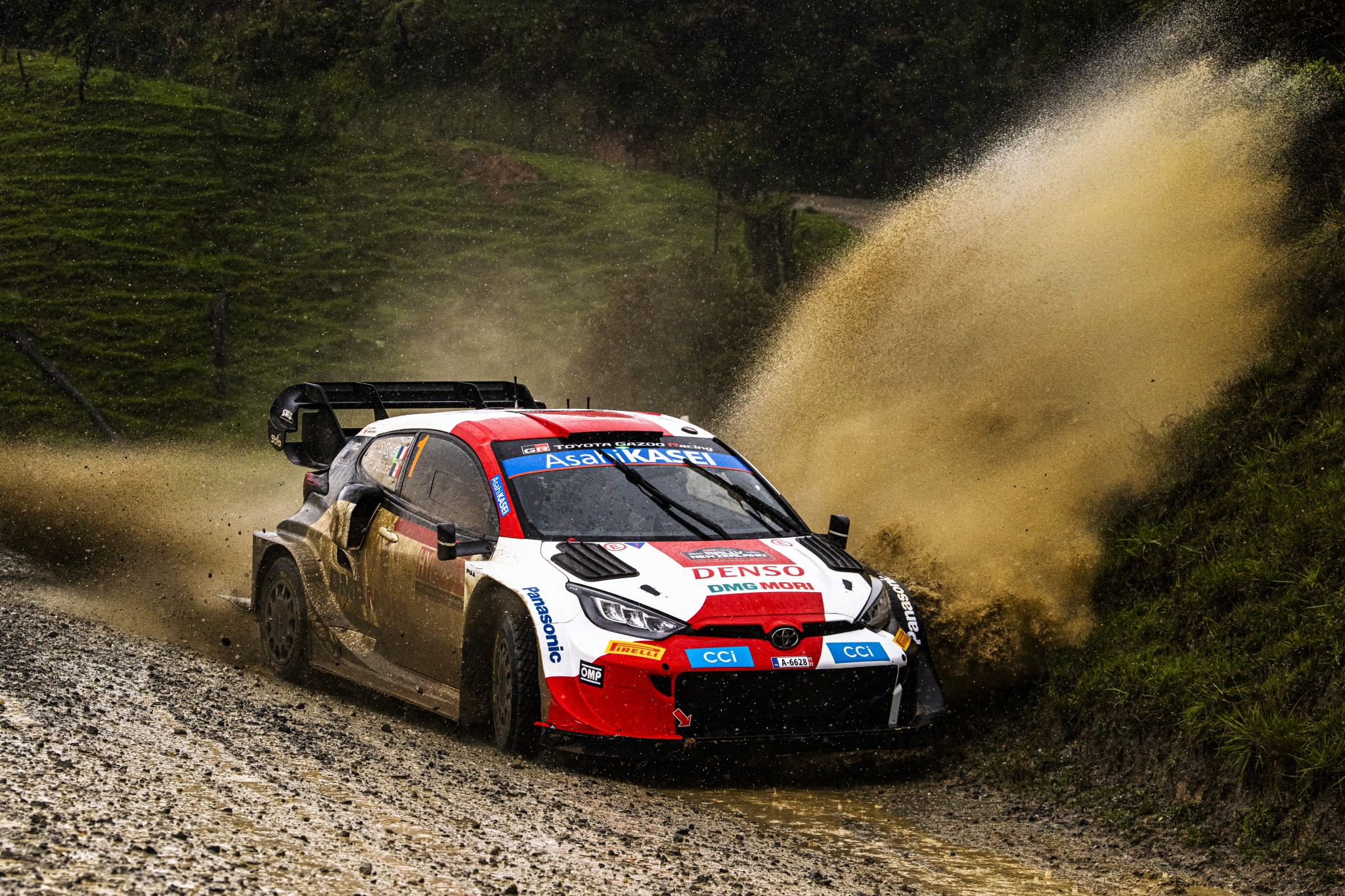 SI202210010128_hires_jpeg_24bit_rgb