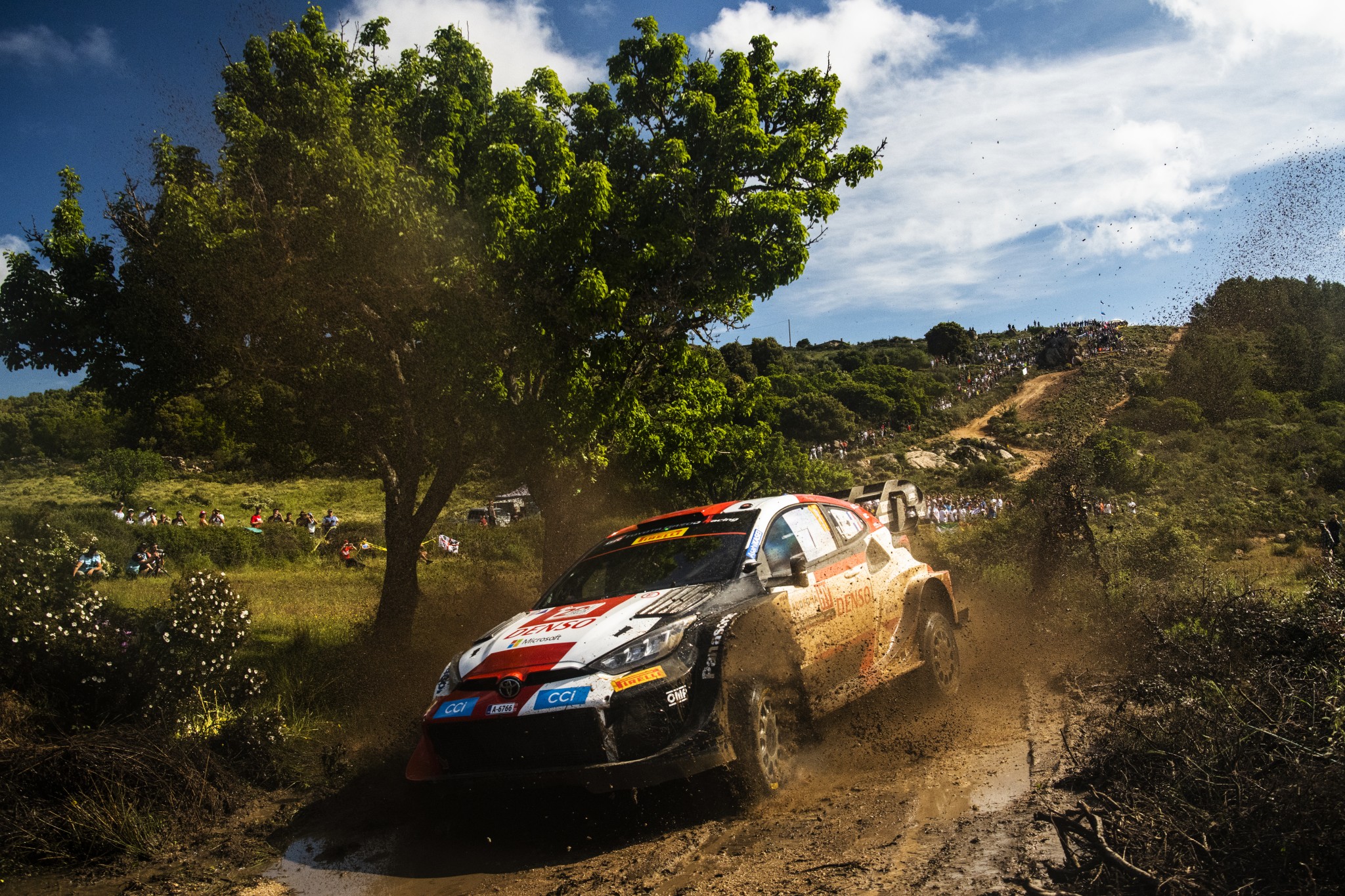 SI202306021306_hires_jpeg_24bit_rgb